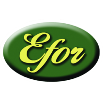 Efor